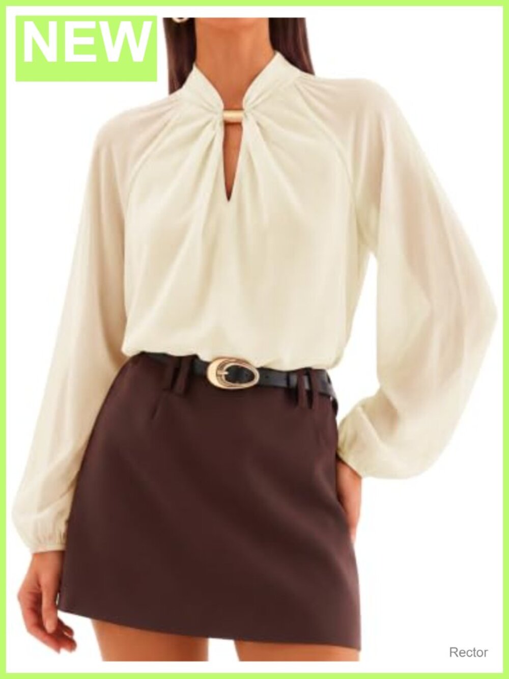 Long Sleeve Chiffon Blouse Lantern Sleeve Dressy Work Top